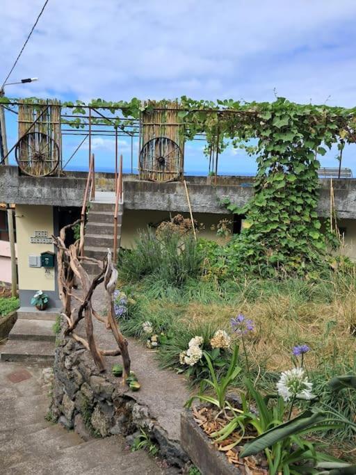 Casa Vintage Madeira *